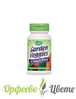 ХРАНИТЕЛНИ ДОБАВКИ Алкализиращи Garden Veggies™ Зеленчуков антиоксидант х 60 капсули